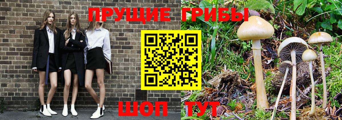 Псилоцибиновые грибы Magic Shrooms  Вход с VPN  Чехов 